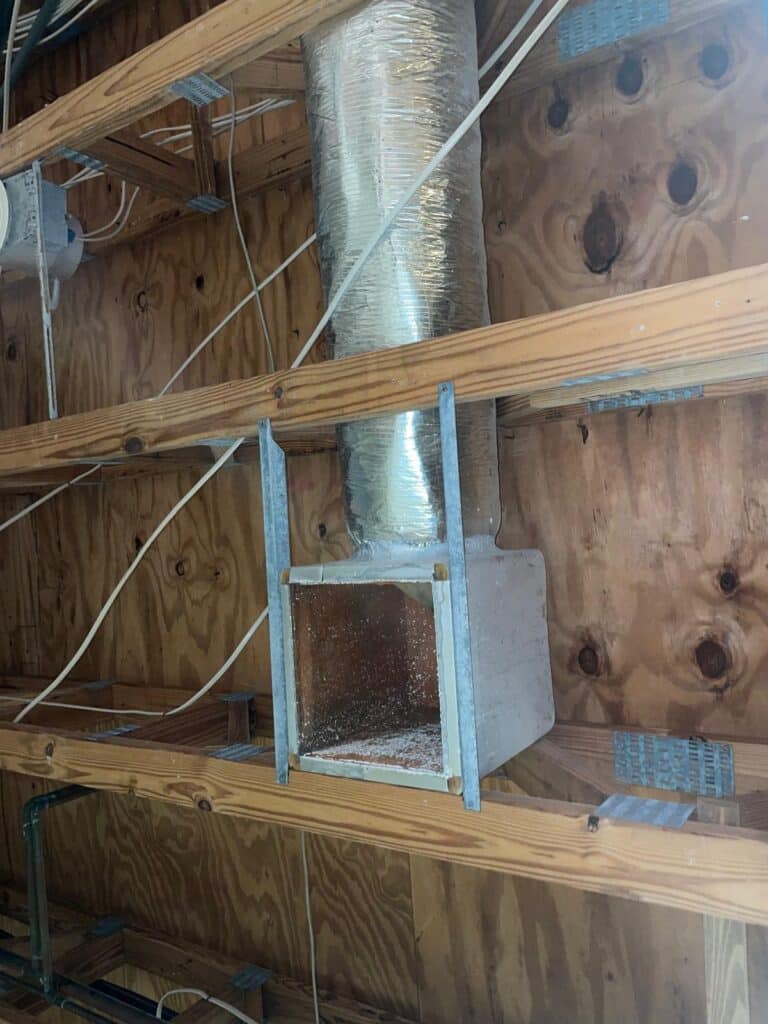 WhatsApp Image 2026 02 21 at 5.21.51 PM (1)